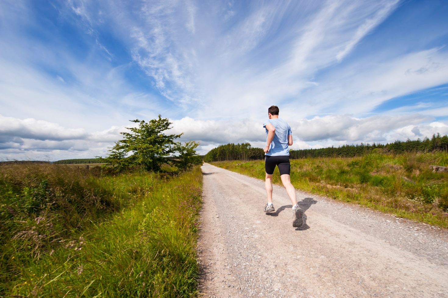 The Role of Nutrition in Mental Health